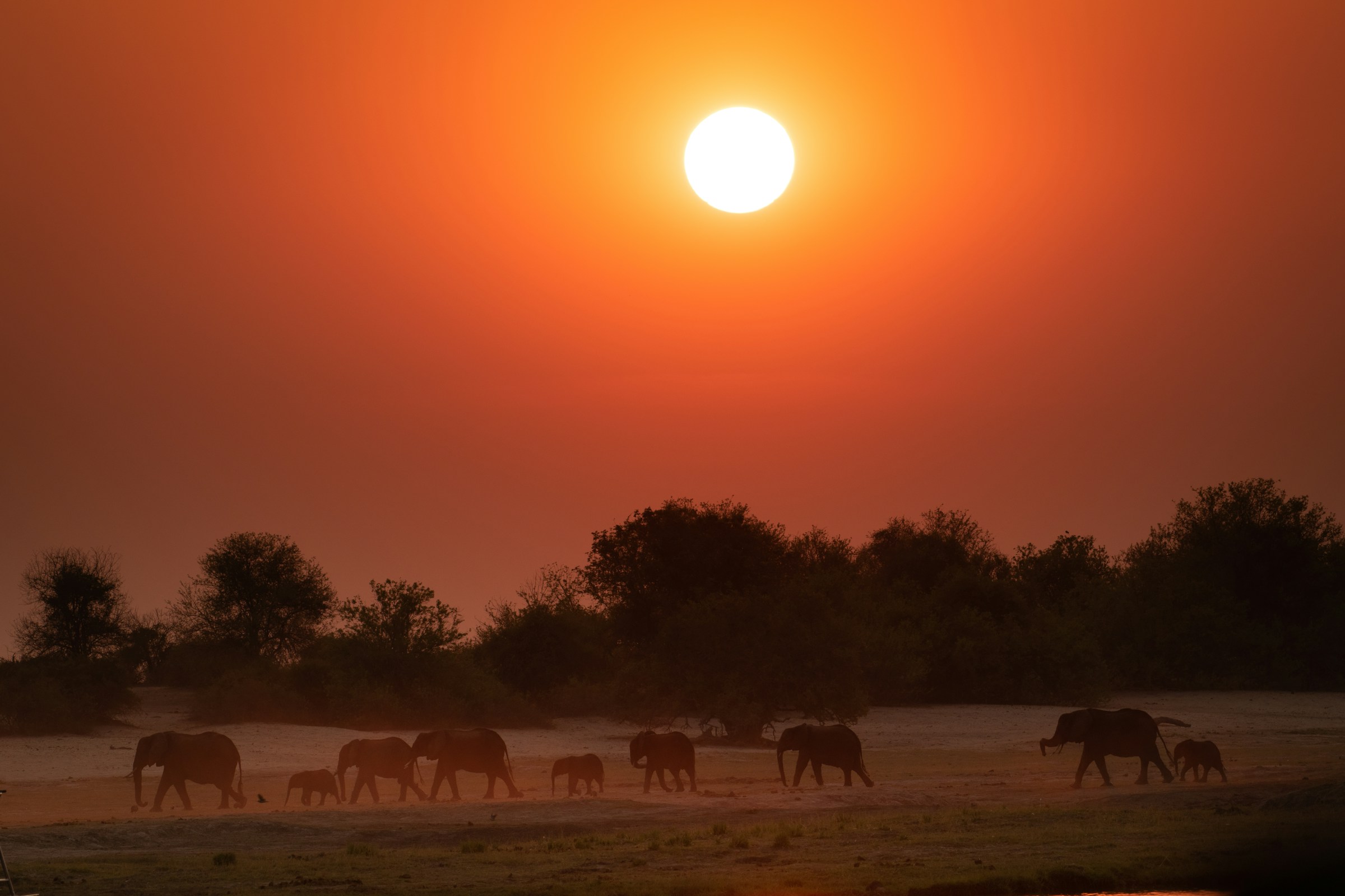 Private Tanzania Safaris