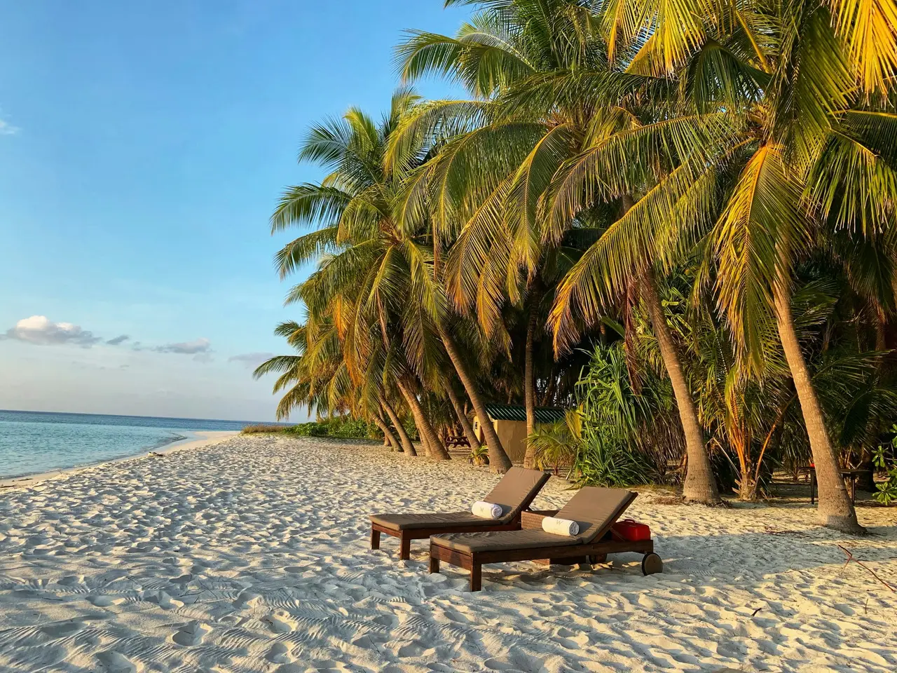 Travel highlight for 5-Day Zanzibar Beach Holiday with Mikumi Safari Day Trip
