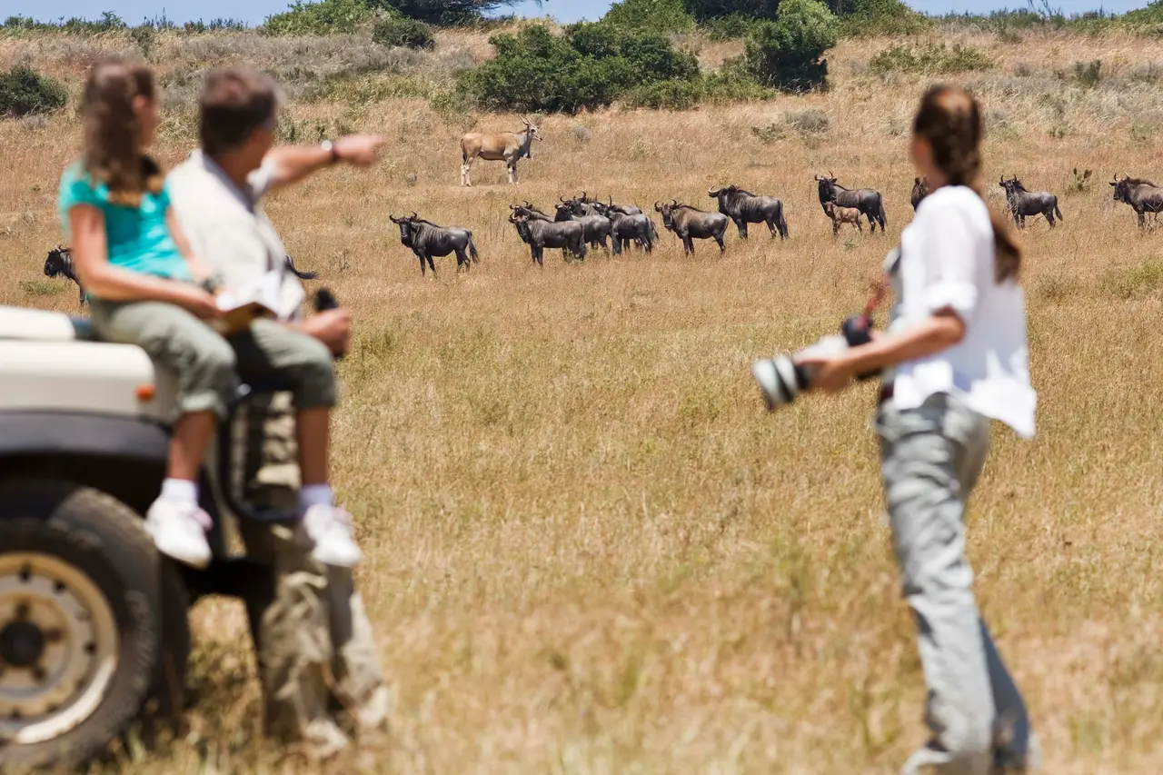 Travel highlight for 6-Day Tanzania Safari & Zanzibar Beach — Compact & Complete