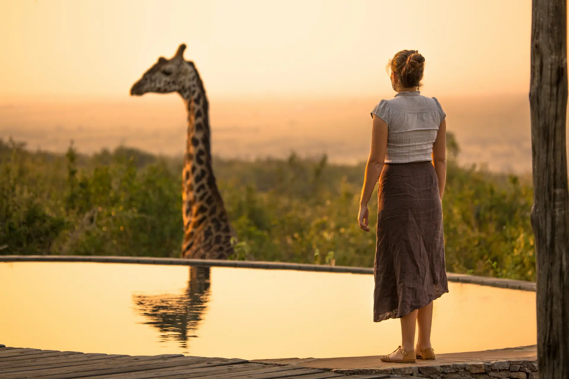 Luxury Tanzania Safaris