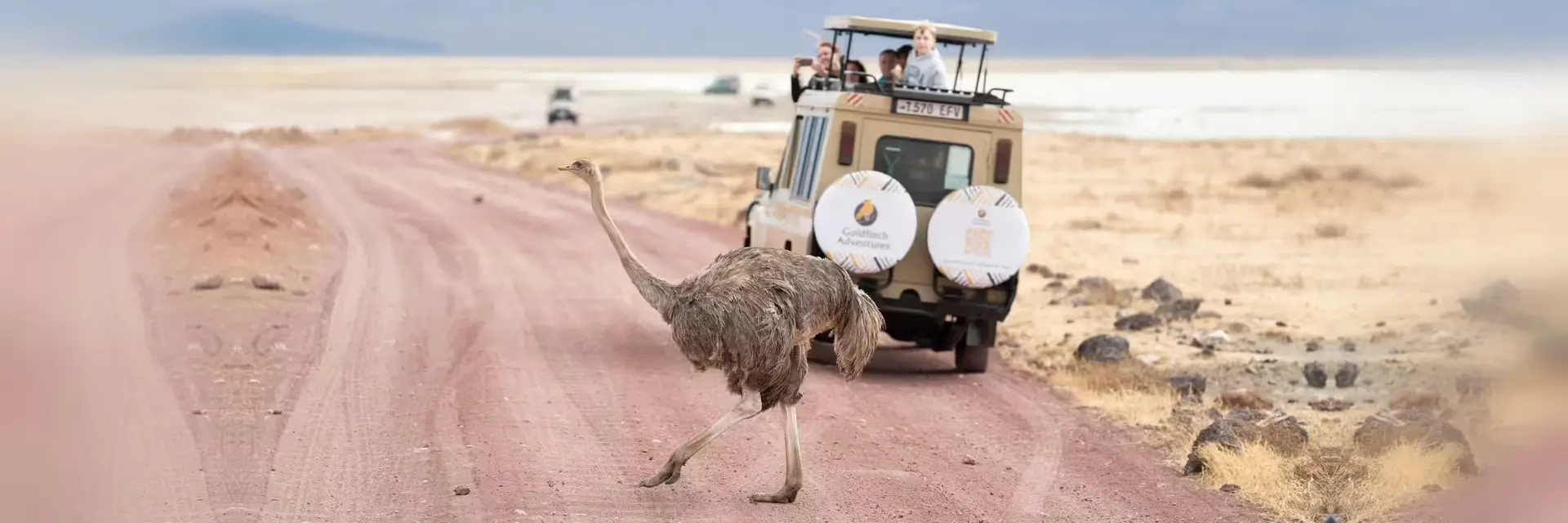 Tanzania safari