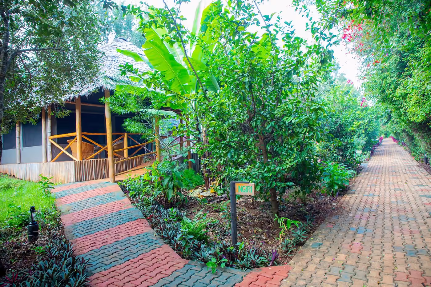 Njiapanda tented lodge — photo 7