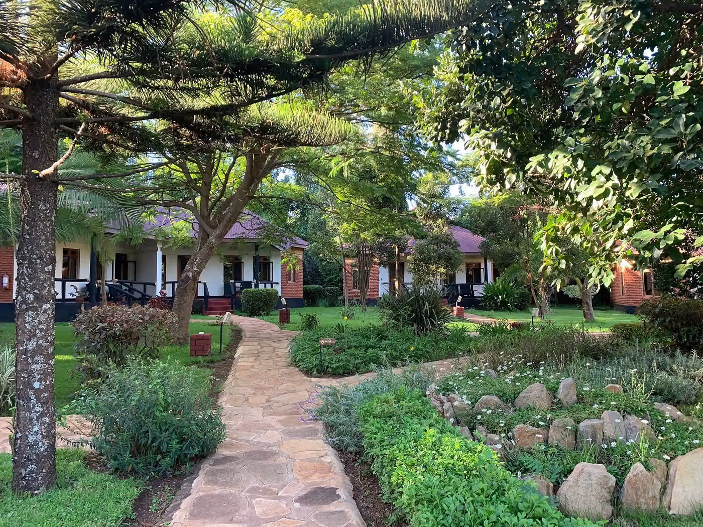 Bougainvillea safar Lodge — photo 3