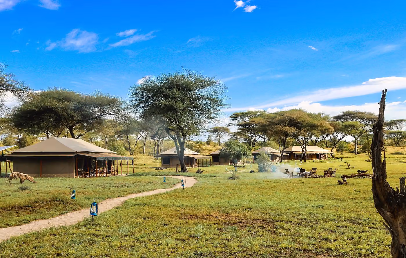 Baobab Central Serengeti Camp — photo 2