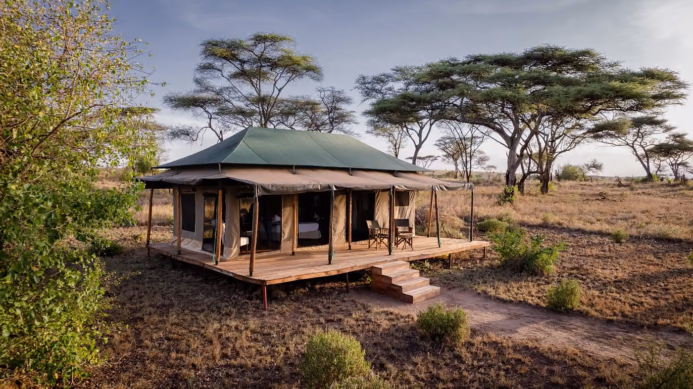 Baobab Central Serengeti Camp — photo 3