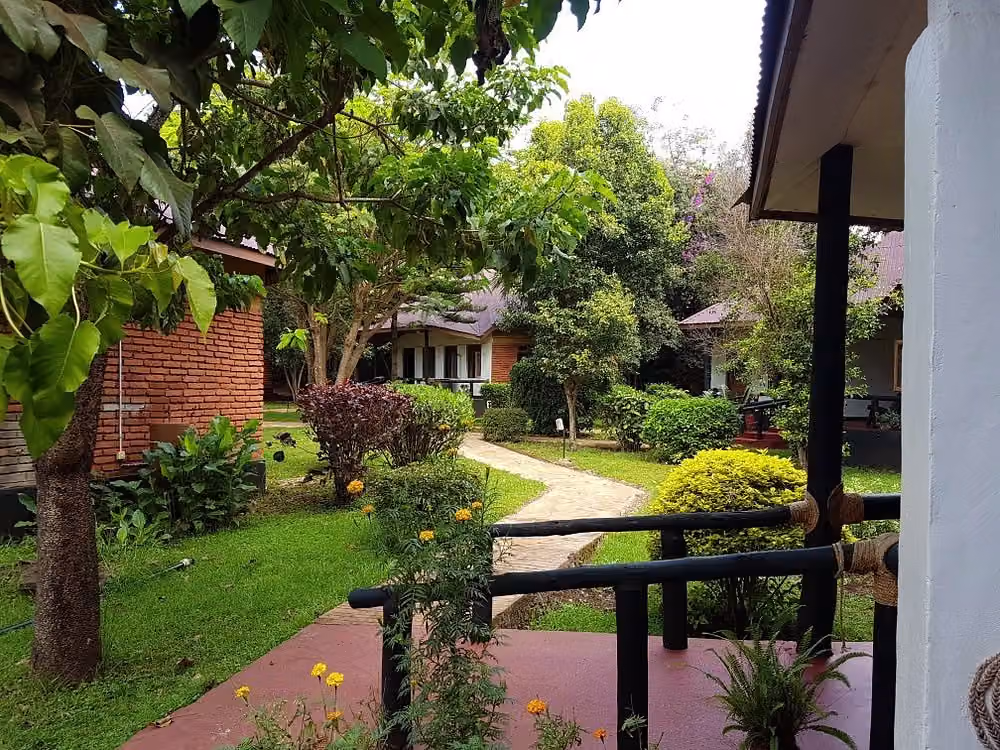 Bougainvillea safar Lodge — photo 2
