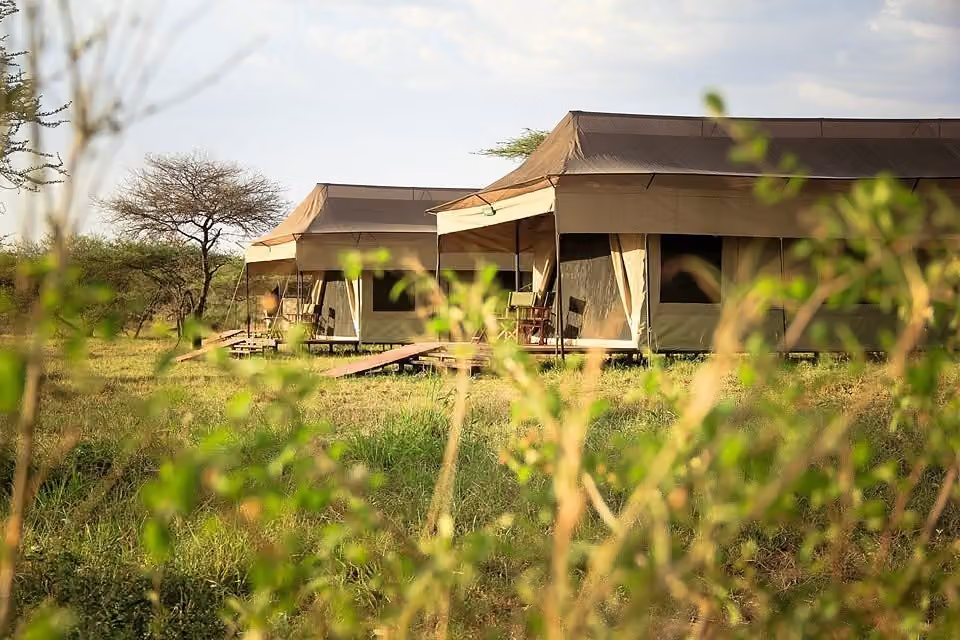 Hippo trails camp