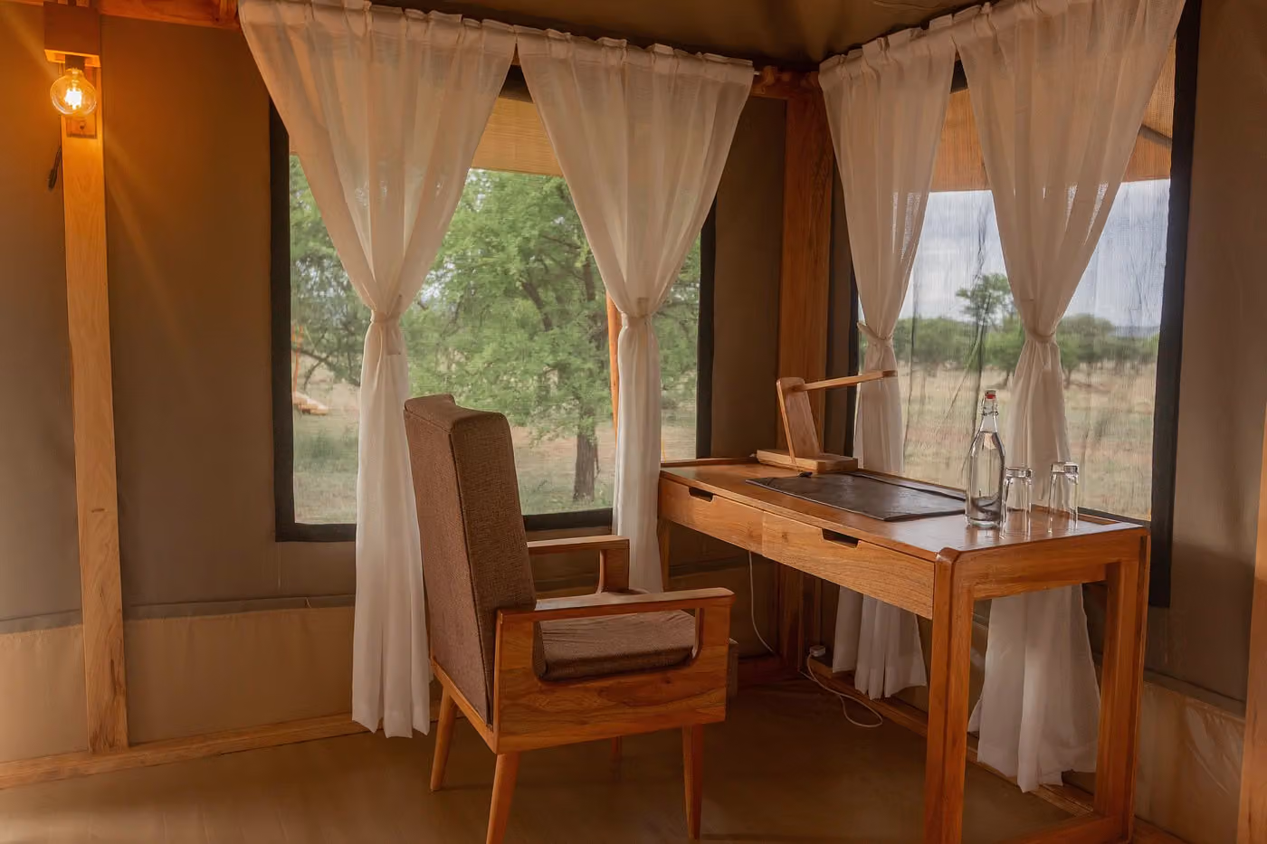 Signature Serengeti — photo 4