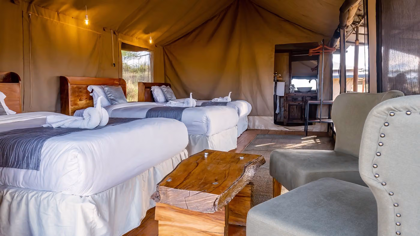 Baobab Central Serengeti Camp — photo 5