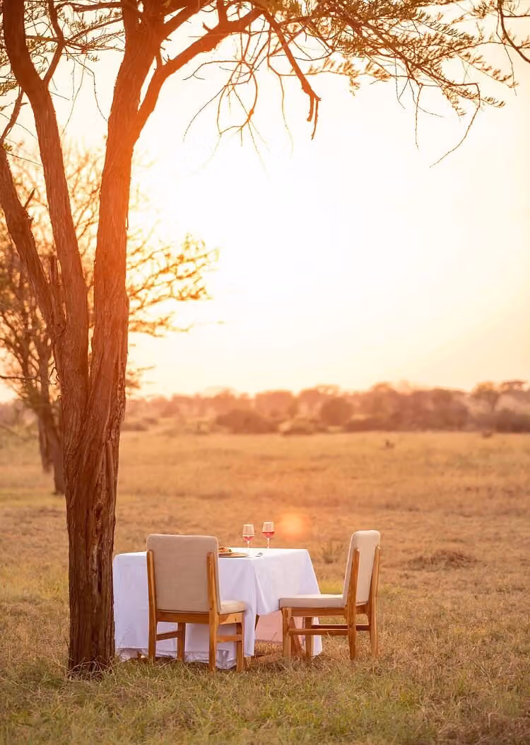 Dove Serengeti Camp — photo 6