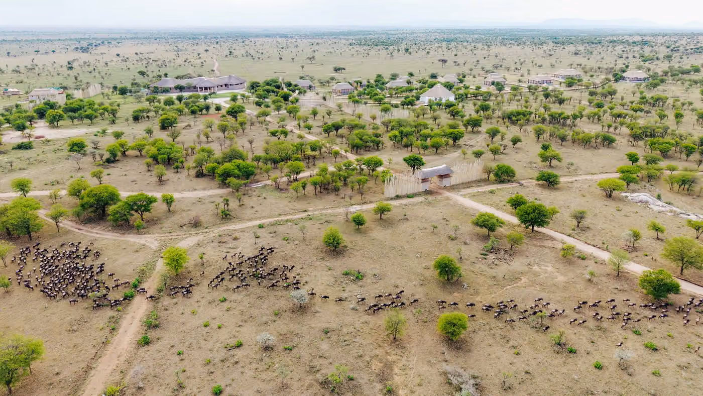 Olkarien eco safari camp — photo 3