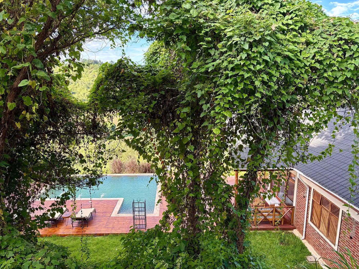 Mvuli hotel