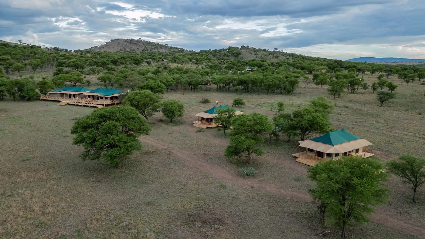Signature Serengeti — photo 7