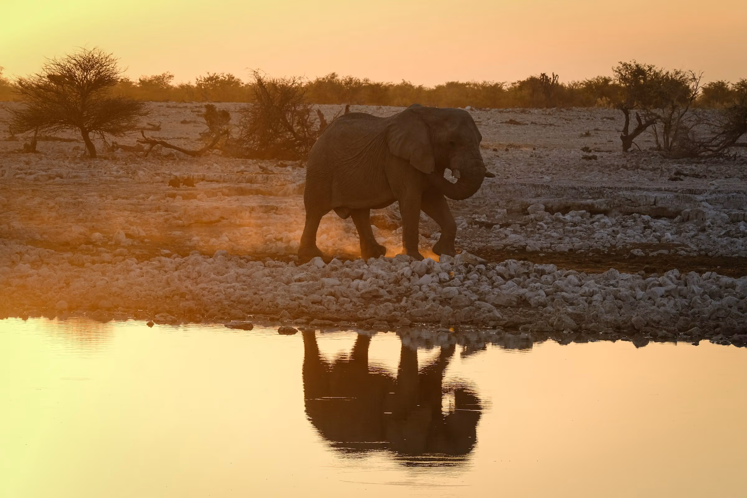 6-Day Tanzania Safari & Zanzibar Beach — Compact & Complete