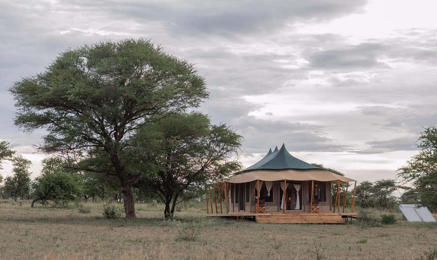 Signature Serengeti — photo 3