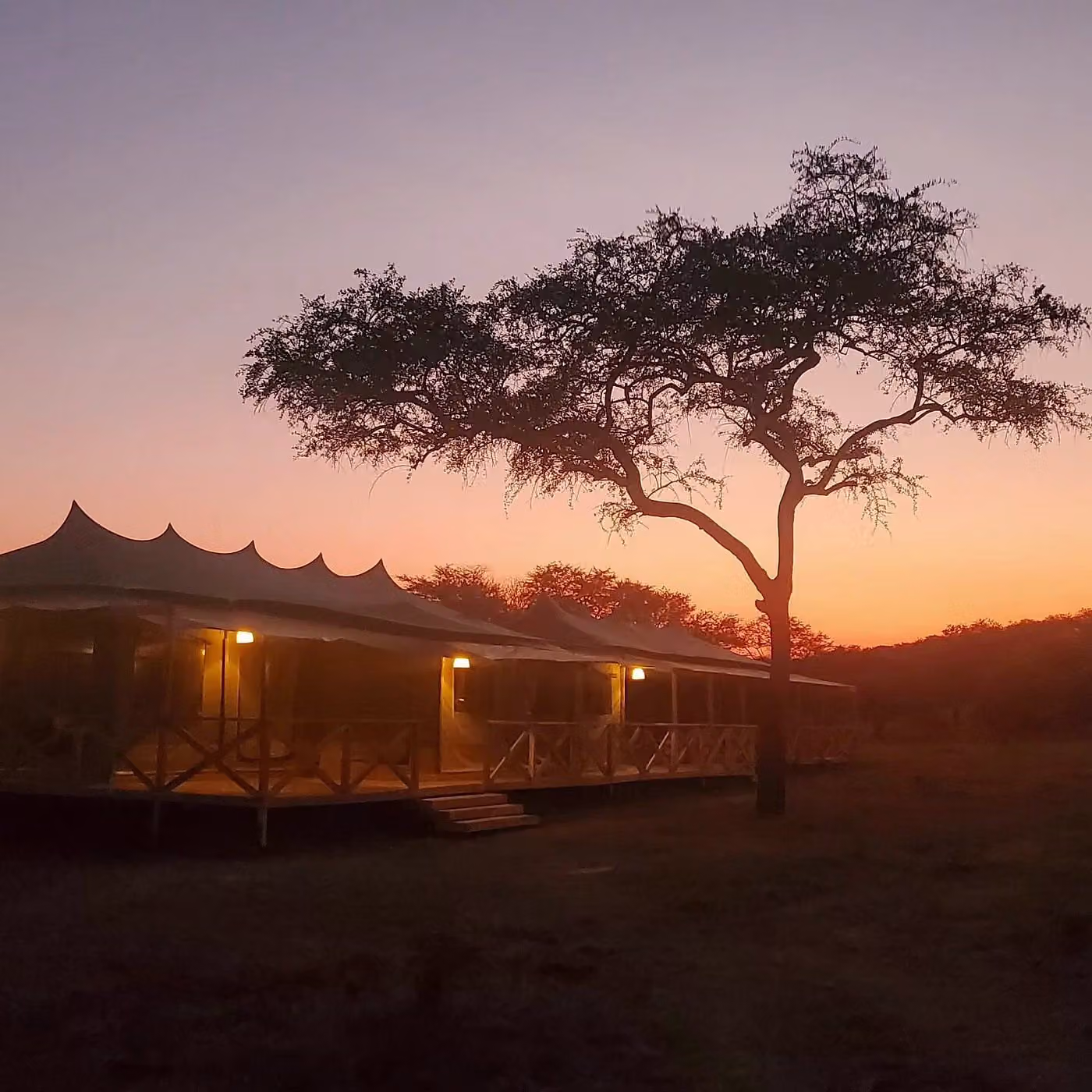 Signature Serengeti