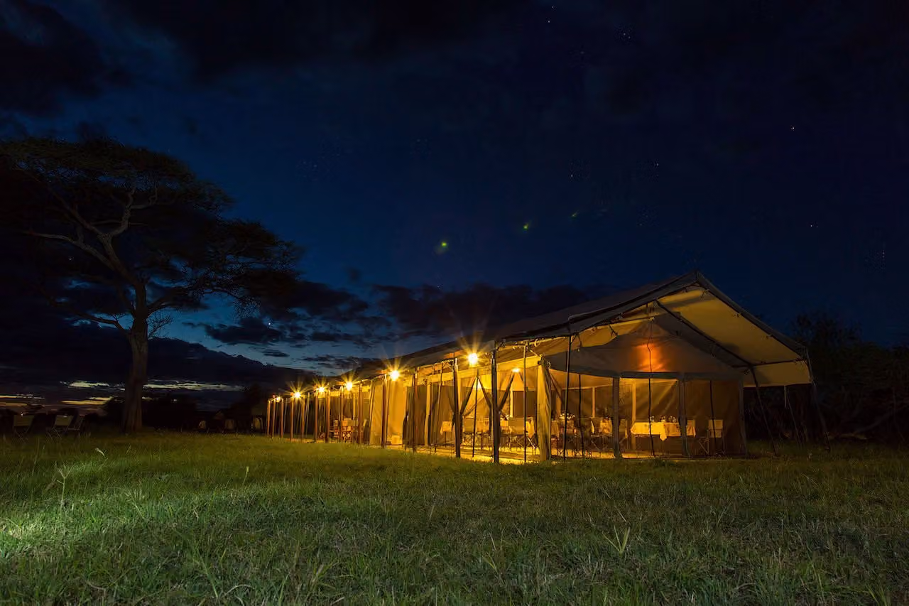 Thorn tree camp