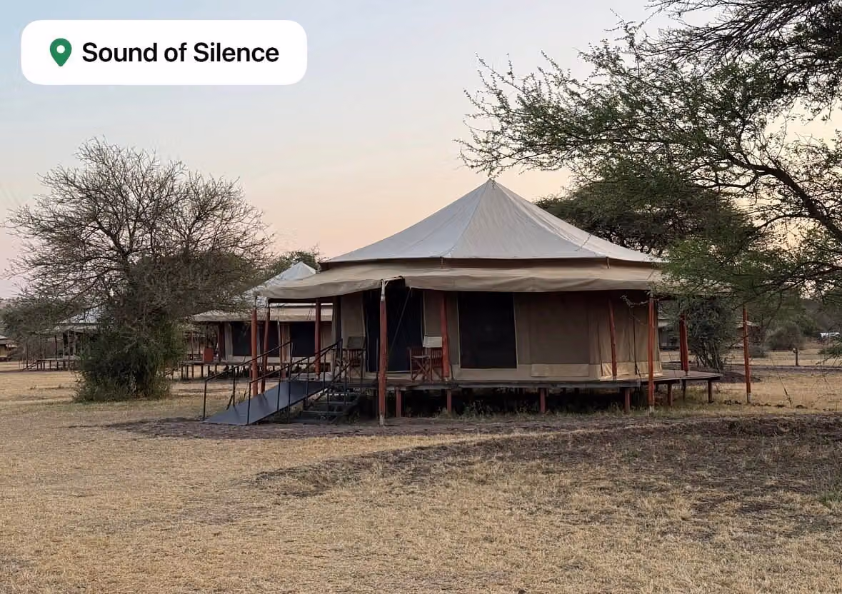 Serengeti sound of silence — photo 4
