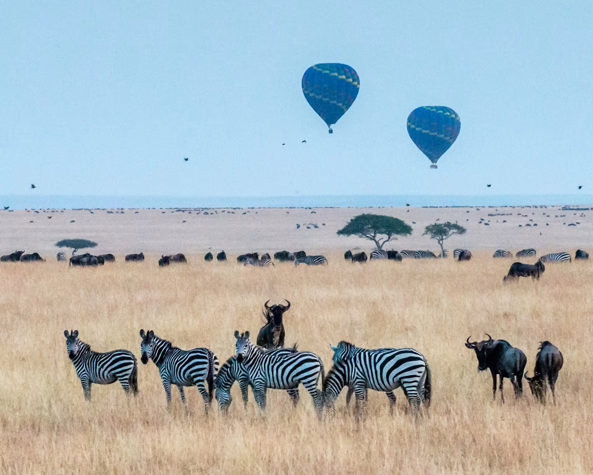 5-Day Great Migration Luxury Safari