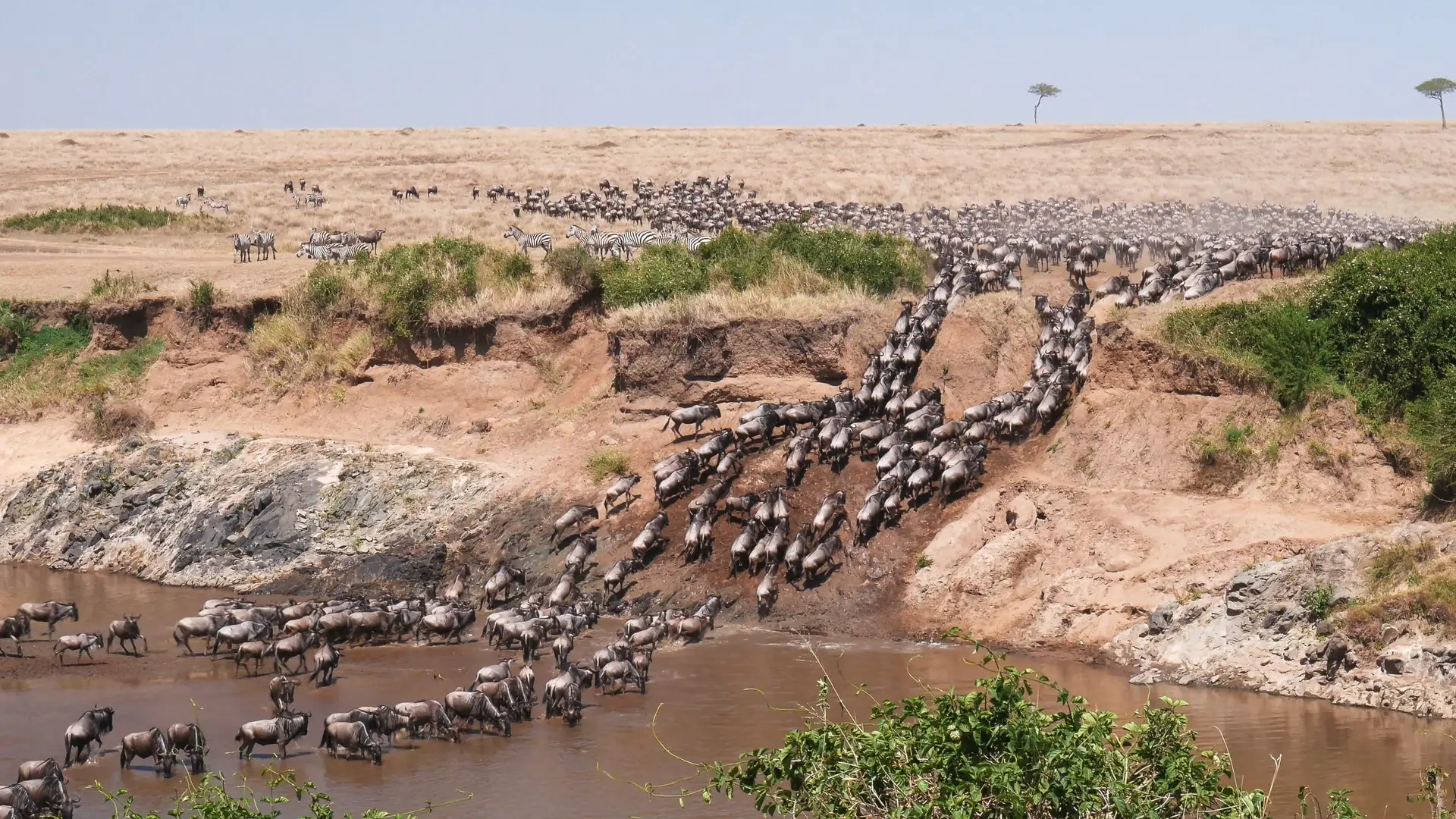 Tag 4: Vom Serengeti zum Ngorongoro-Hochland
