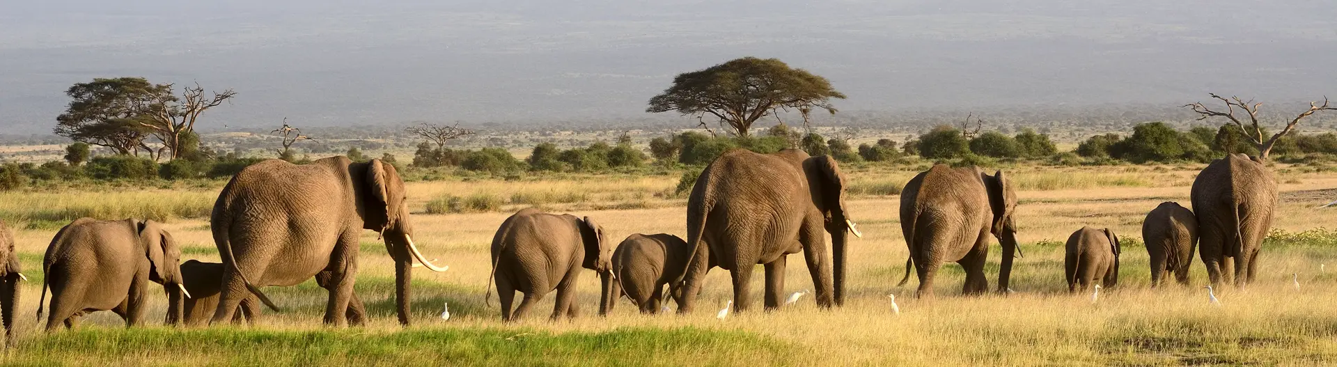 Day 1: Arusha – Tarangire National Park