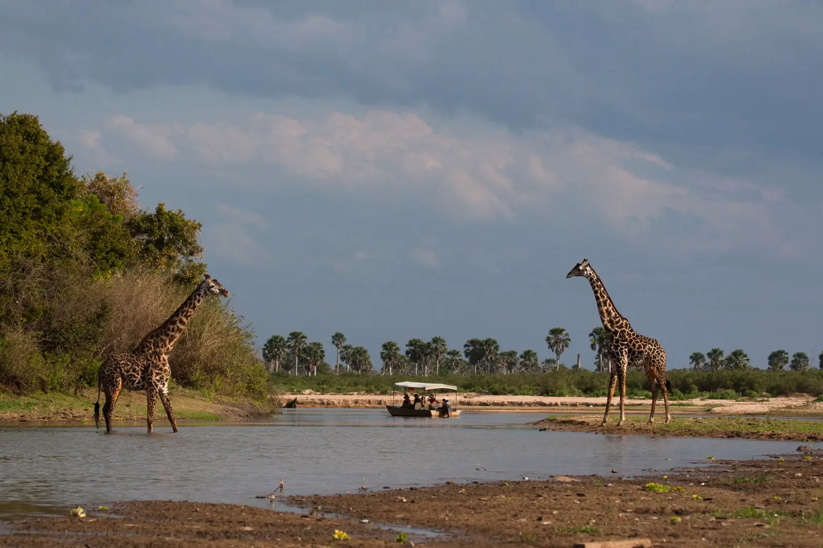 3 Day Safari from Zanzibar: Nyerere – Southern Wilderness