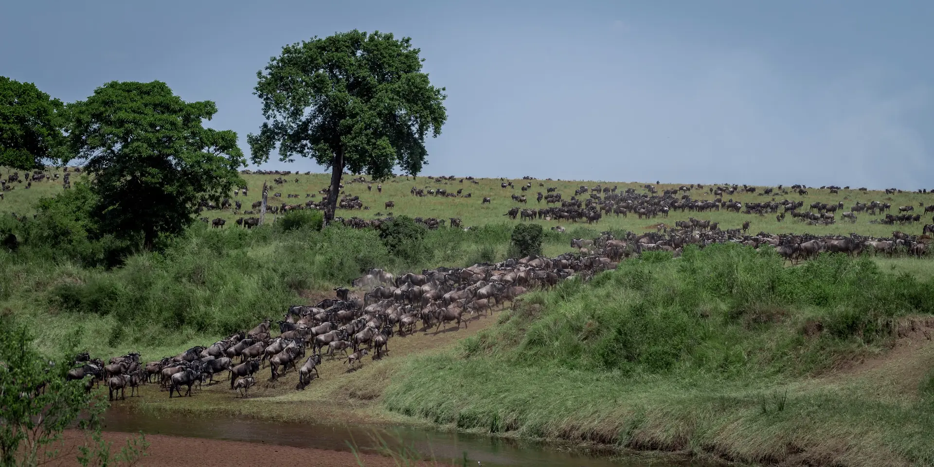 Day 4: Full Day in Central Serengeti National Park