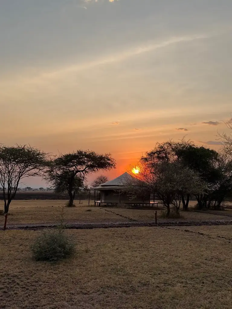 Serengeti sound of silence
