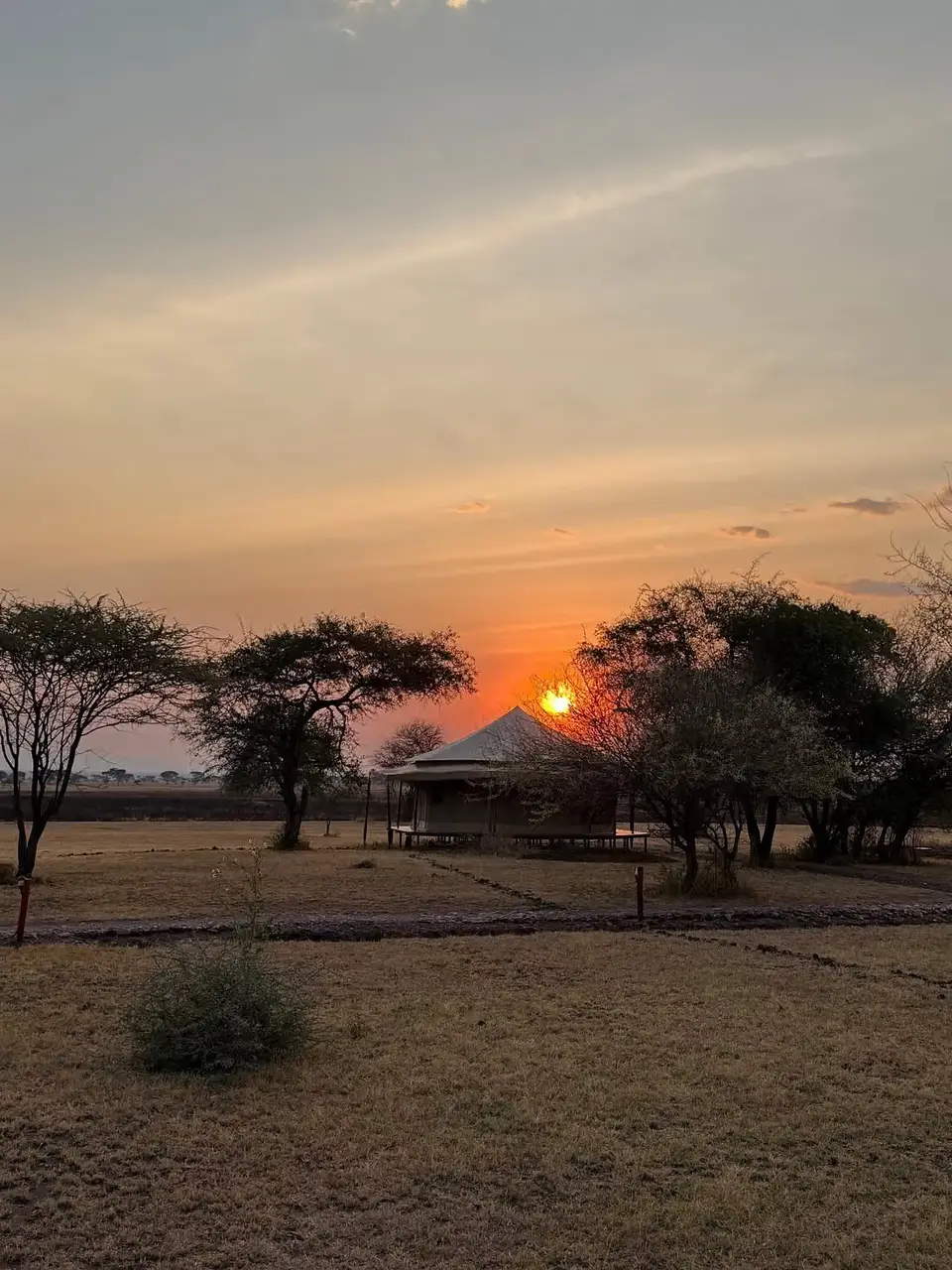 Serengeti sound of silence