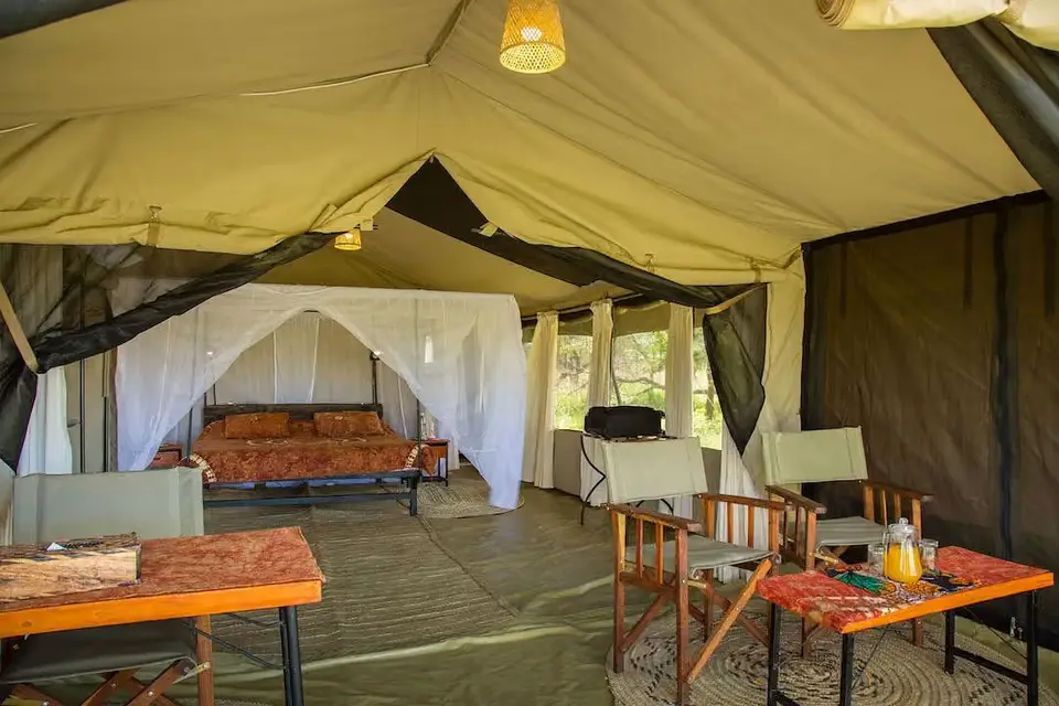 Thorn tree camp — photo 4