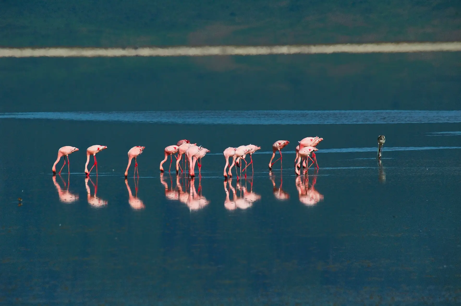Ngorongoro Crater
