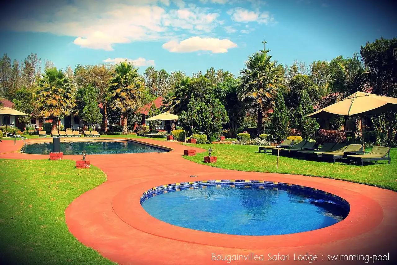 Bougainvillea safar Lodge — photo 3