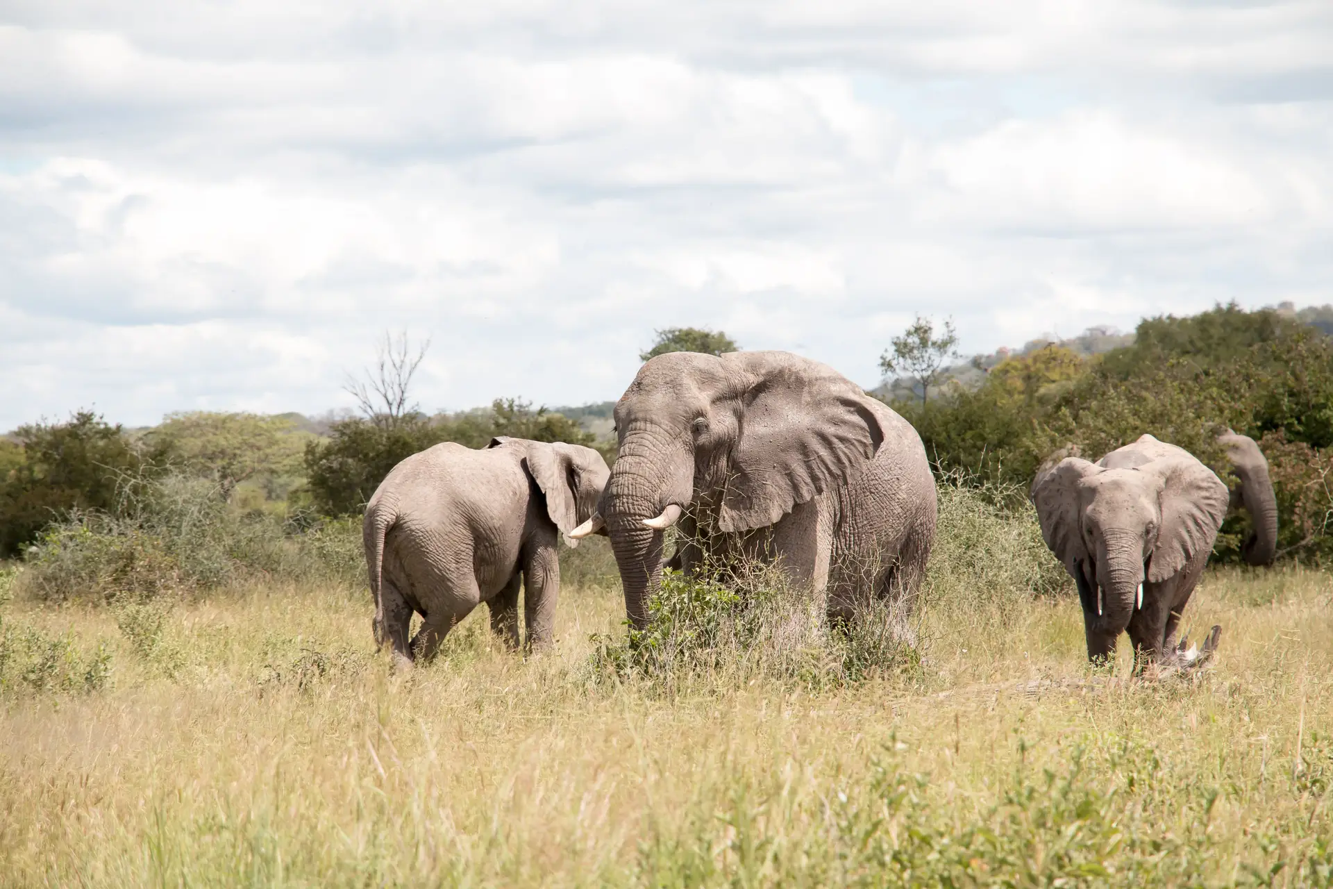Día 2: De Zanzíbar al Parque Nacional Tarangire