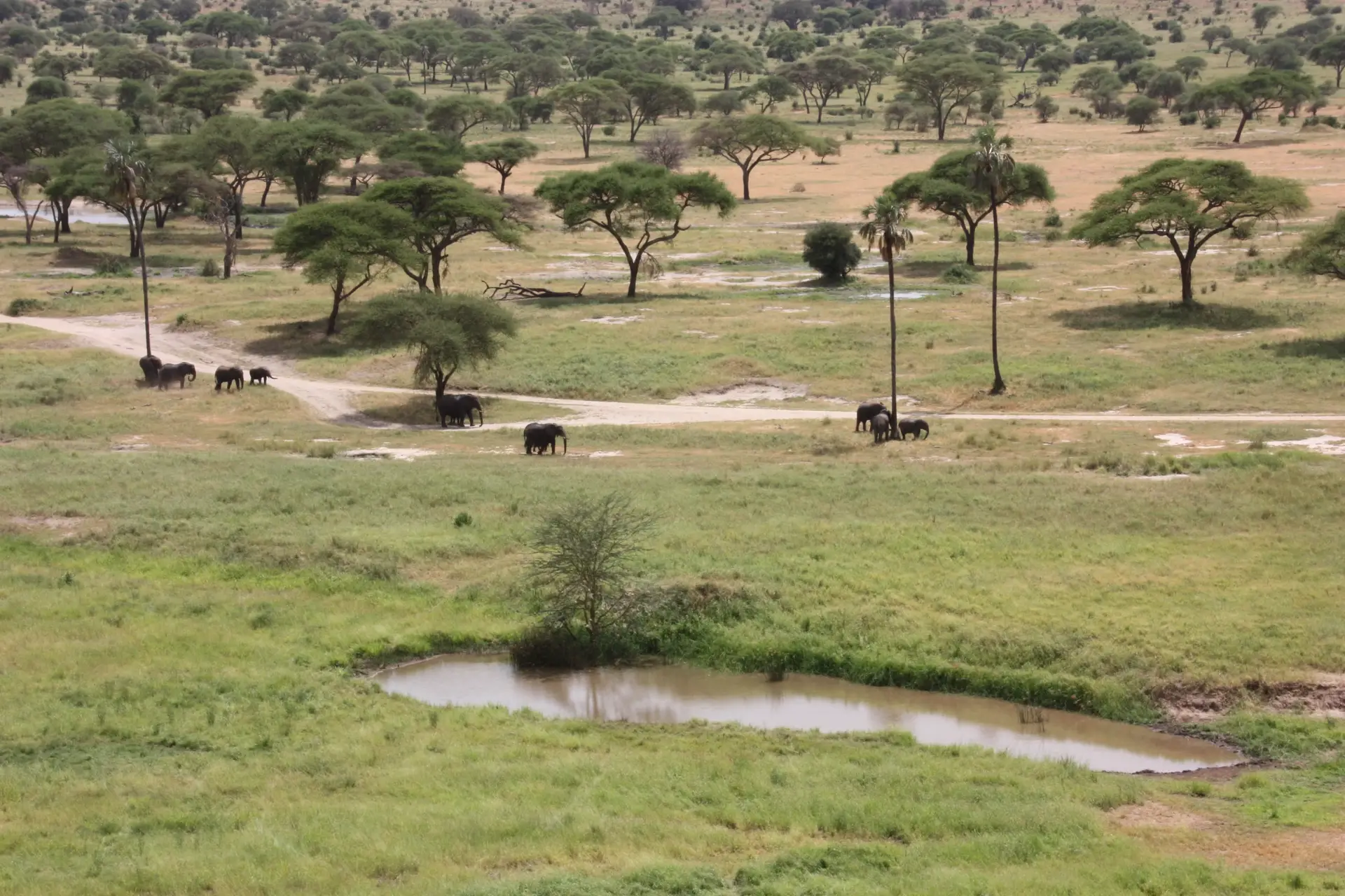Day 4: From Mto wa Mbu Town to Tarangire National Park