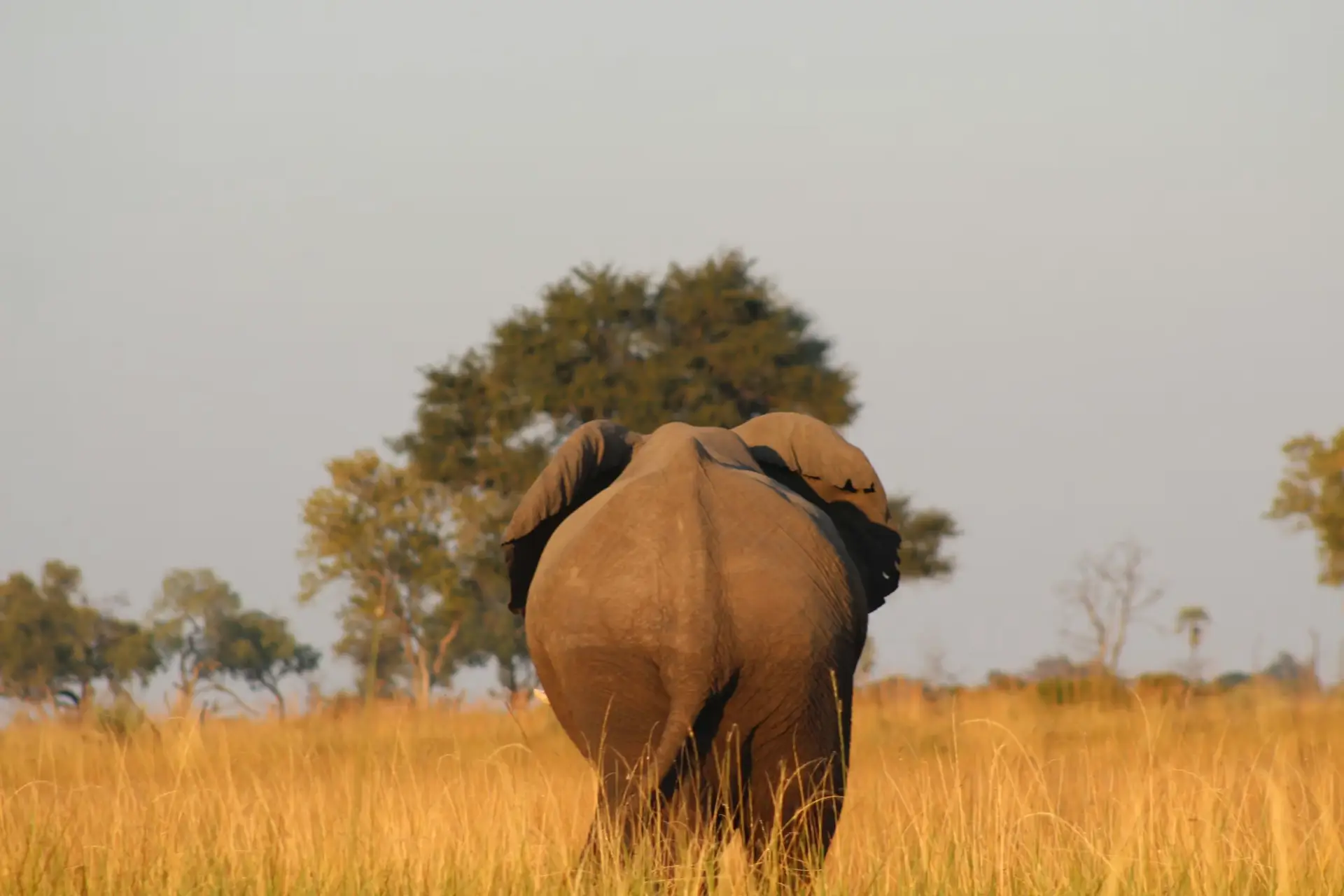 Day 2: Arusha – Tarangire National Park