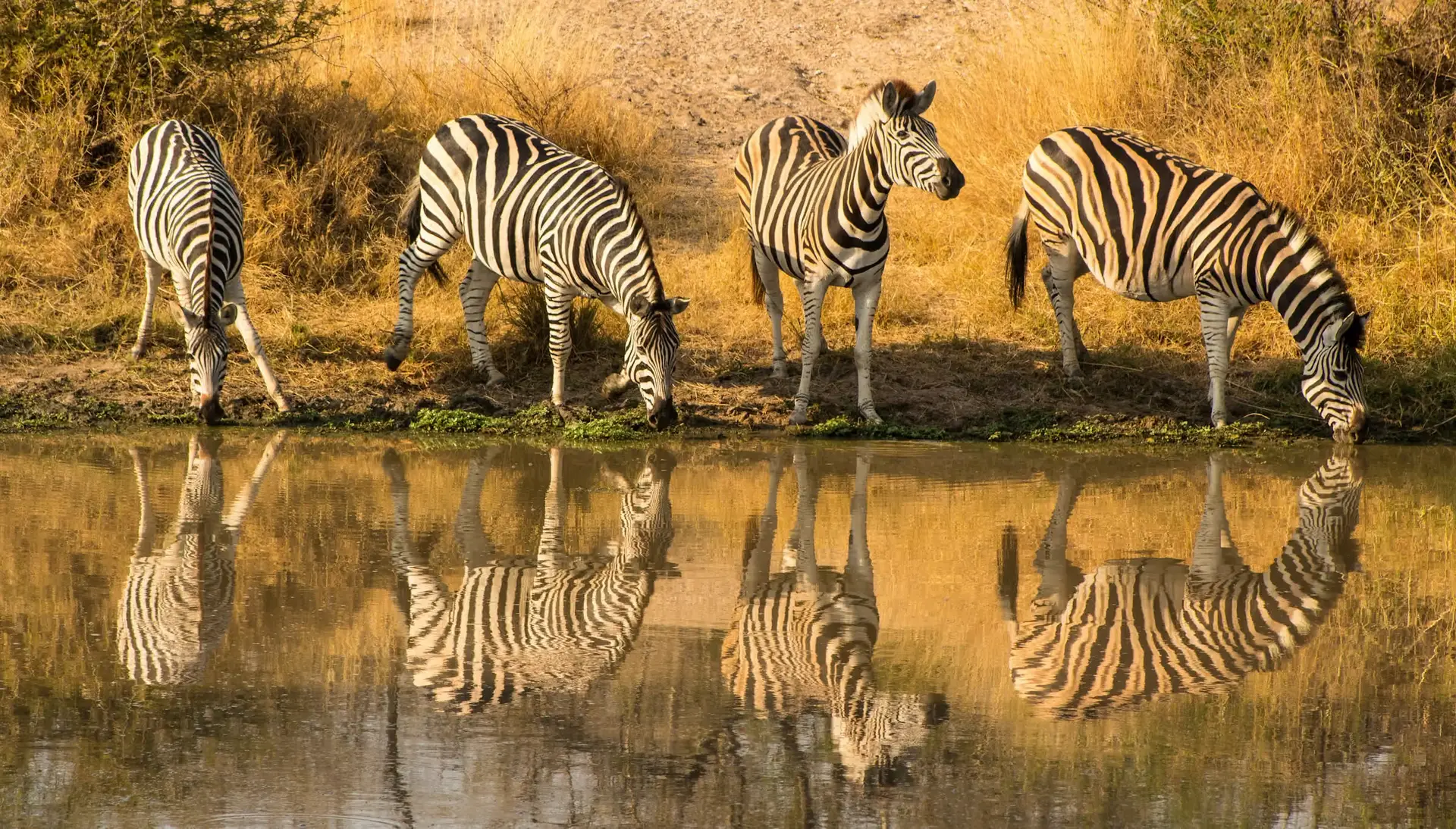 Day 8: Tarangire National Park — Final Safari Chapter