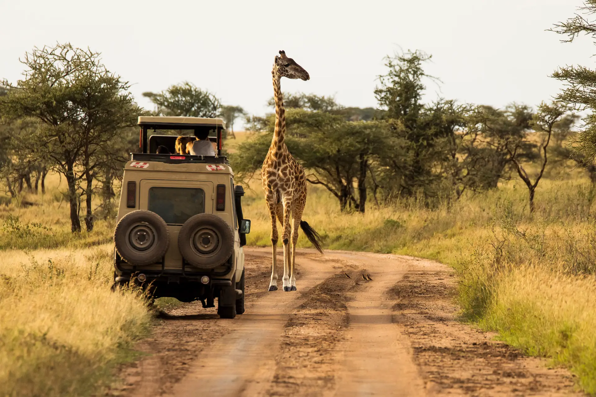 Tag 2: Von Sansibar zum Arusha-Nationalpark — Aktiver Start