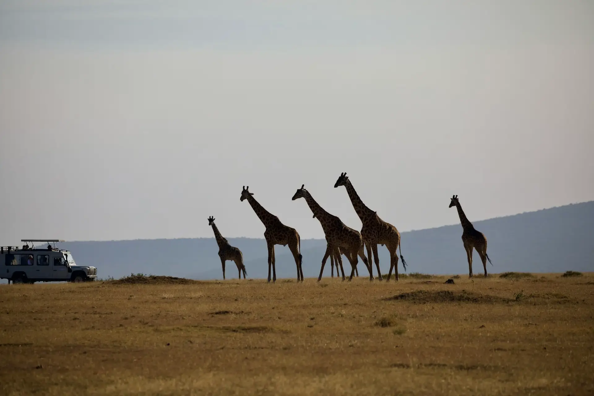 Day 5: Serengeti – Ngorongoro Highlands