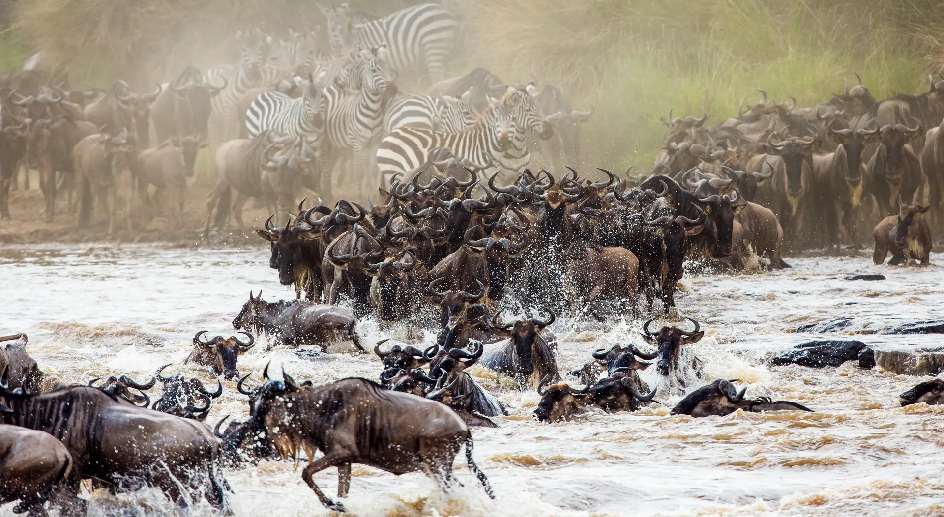 Tag 3: Zentrale Serengeti zum Ngorongoro-Hochland