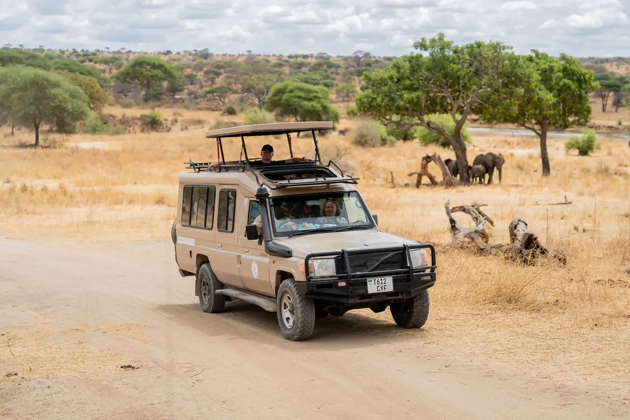 Travel highlight for 12-Day Safari & Beach Holiday: The Full Tanzania Journey
