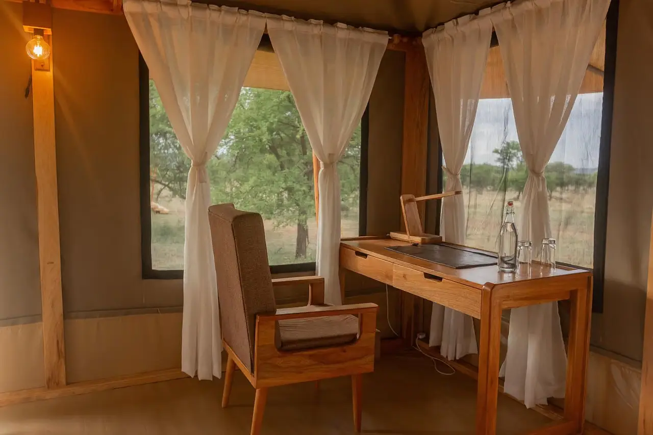 Signature Serengeti — photo 4