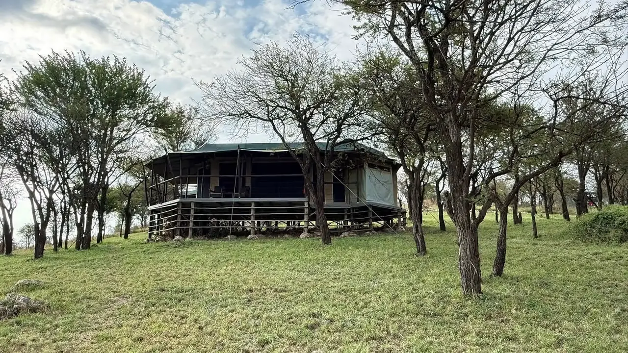 Ole serai seronera — photo 3