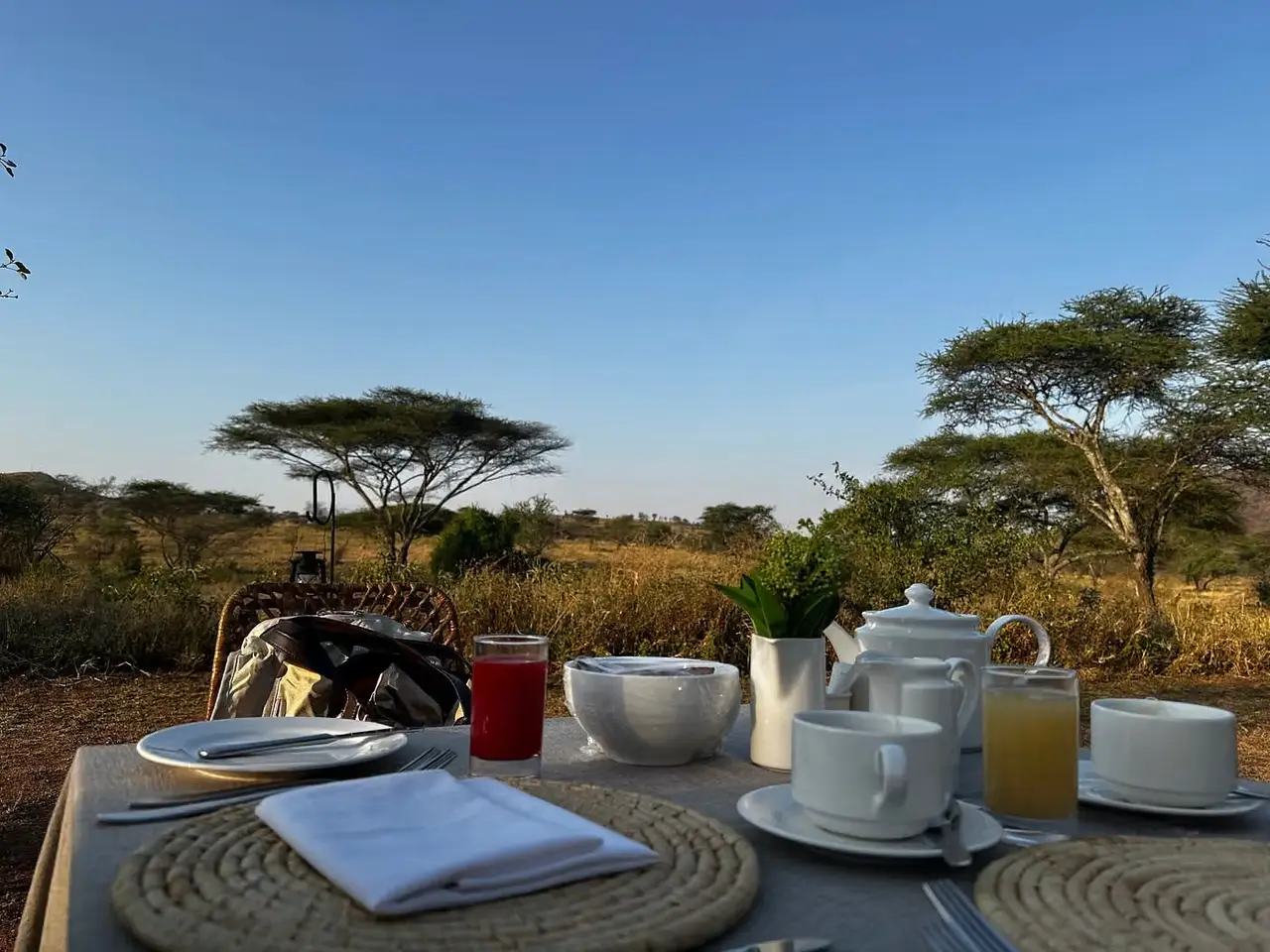 Serengeti acacia bliss — photo 3
