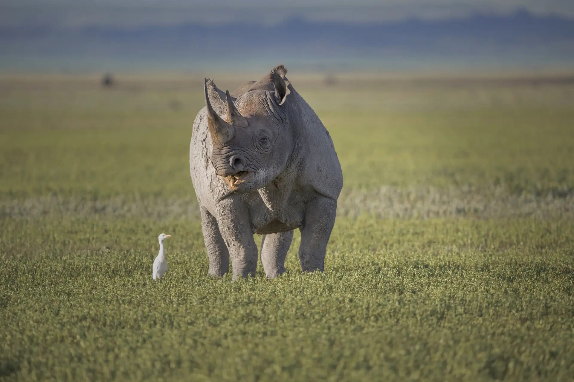 Day 5: Ngorongoro Crater Tour – Karatu