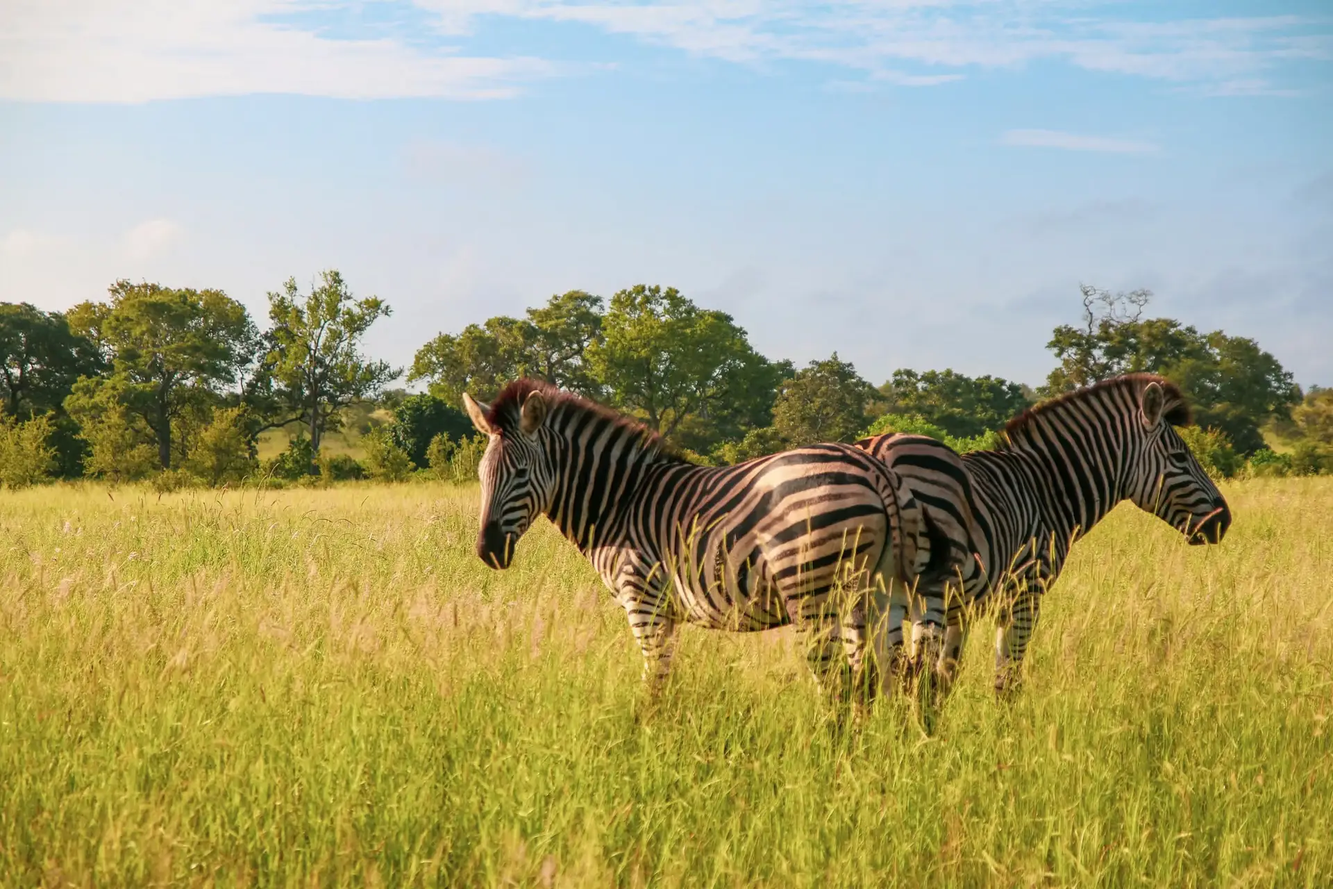 Day 1: Fly from Zanzibar to Lake Manyara National Park