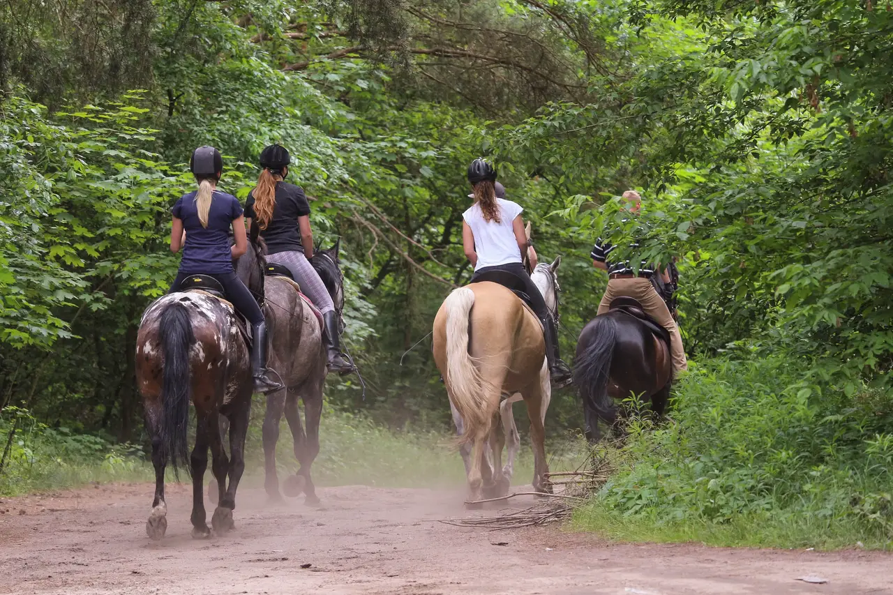 horse ride safari