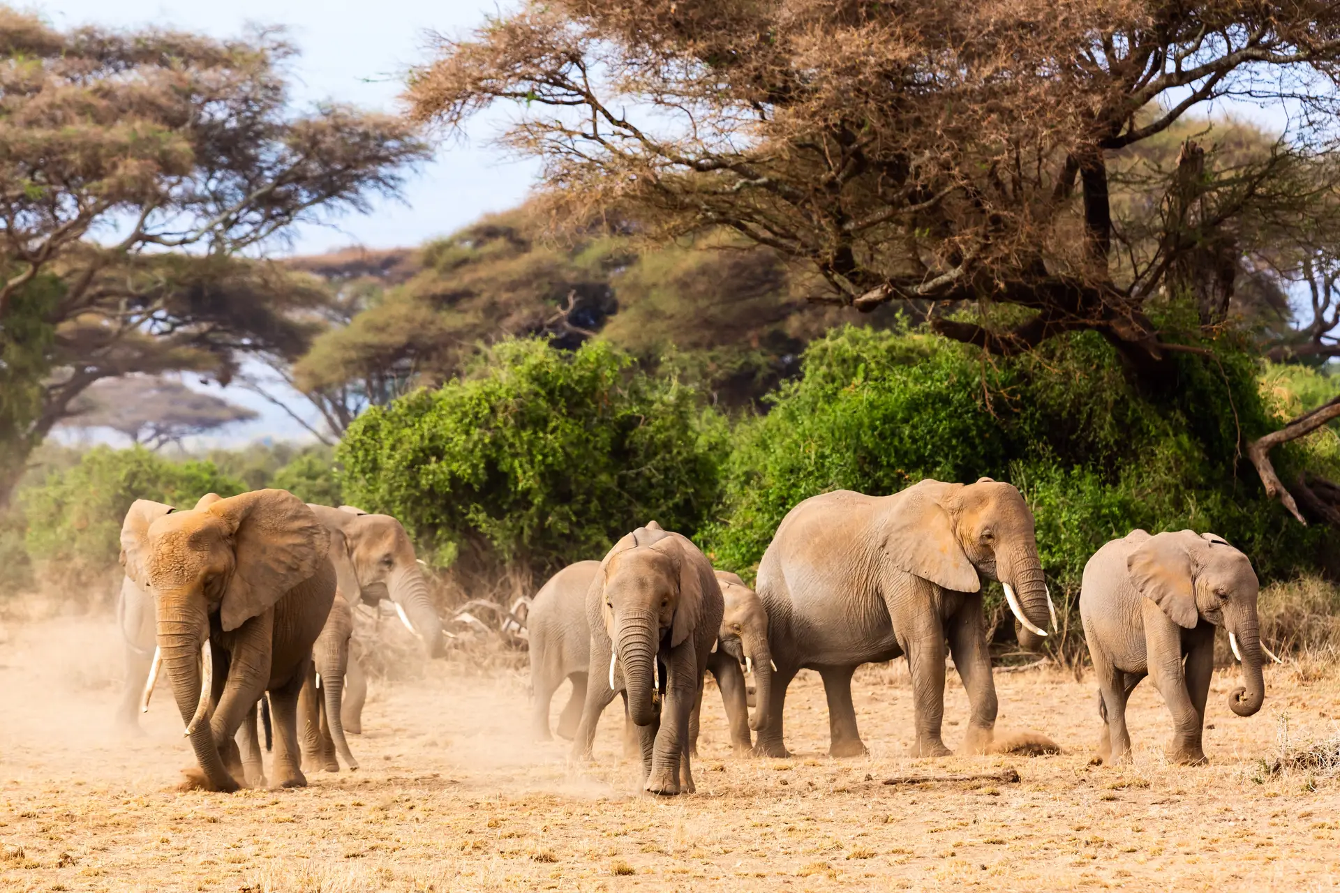 Tag 2: Von Sansibar zum Arusha-Nationalpark — Aktiver Start