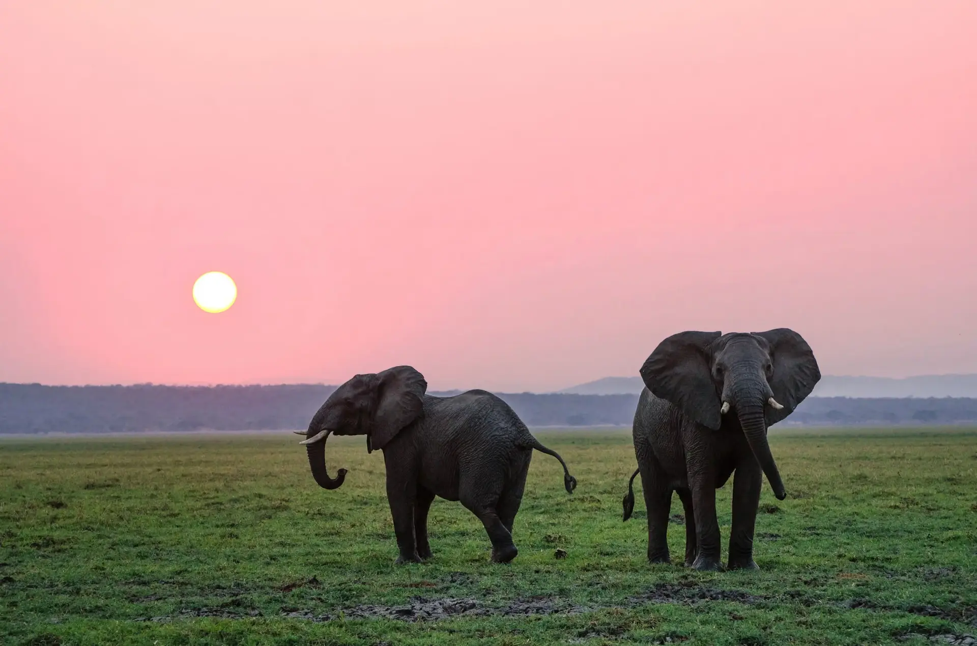 Day 1: Arusha – Tarangire National Park