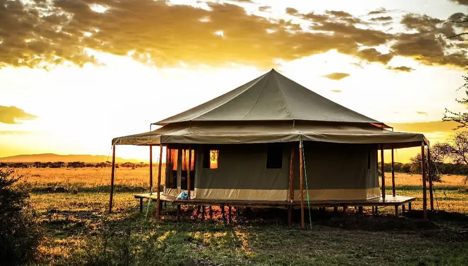Serengeti sound of silence