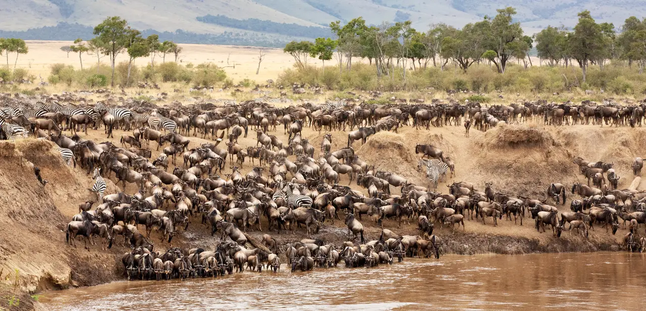 Travel scene representing Western Serengeti in Tanzania